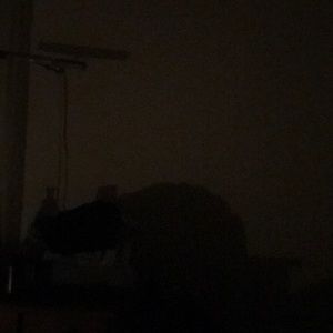 Meet your Posher, Ricky